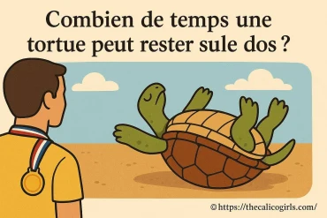 Combien de temps une tortue peut-elle rester sur le dos ?