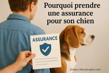 Pourquoi prendre une assurance pour son chien est essentiel