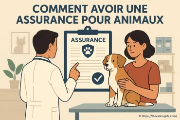 Comment avoir une assurance pour animaux : guide complet