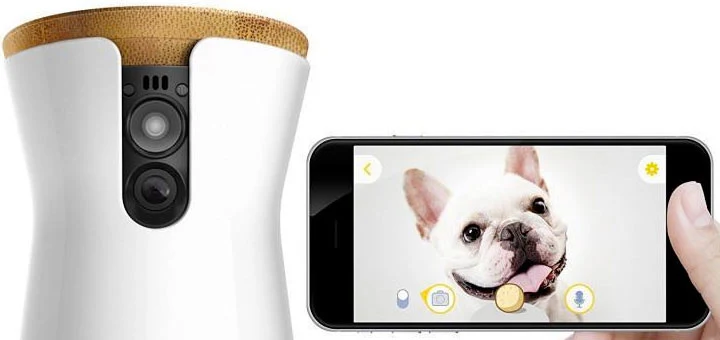 Connaissez-vous le Furbo ?