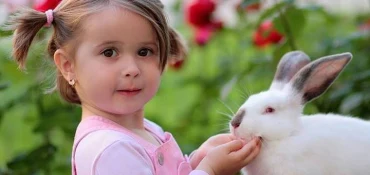 Comment se faire aimer par son lapin ?