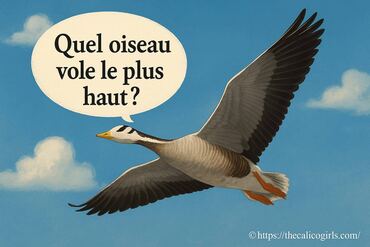 Quel oiseau vole le plus haut dans le ciel ?
