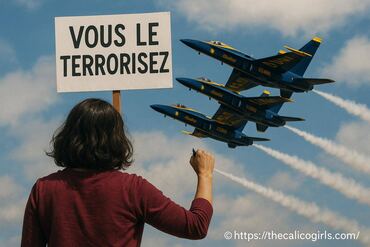Une américaine porte plainte contre les blue angels après la mort de son chat