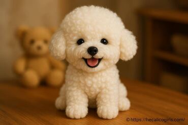 Bichon frisé : la peluche joyeuse qui séduit tous les foyers