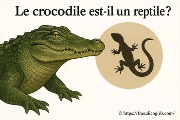 Le crocodile est-il un reptile ? Découvrez la vérité