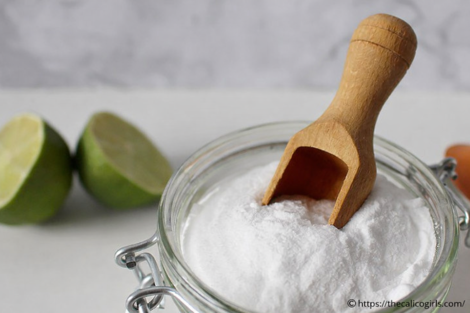 Comment fabriquer soi-même du dentifrice pour chien fait maison?