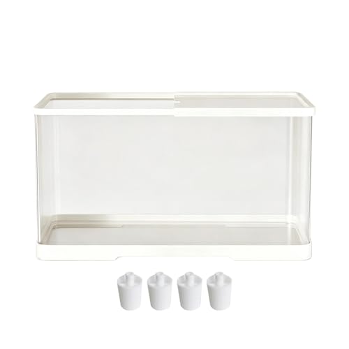 jupsjuice Terrarium pour Tarentule | Habitat de saurien à Ve