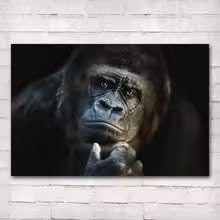 BMGKYAGL Tableau sur toile « Le gorille qui réfléchit », aff