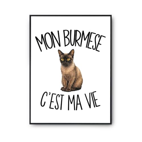 Planetee Poster Mon Burmese cest ma vie | Affiche Papier Pho