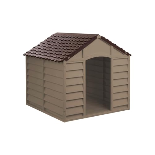 Boutique pour Chiens