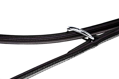 Schnüffelfreunde Laisse Chien Cuir - Laisse en Cuir Marron p