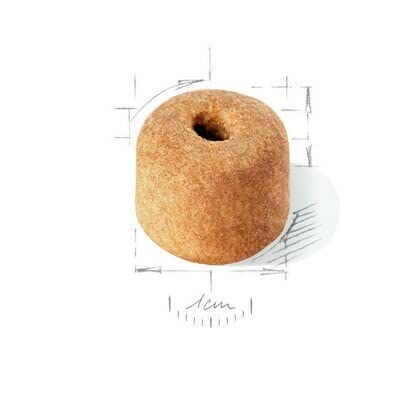 Royal CANIN - Croquettes Labrador Adulte 5+ - Sac De 12 Kg