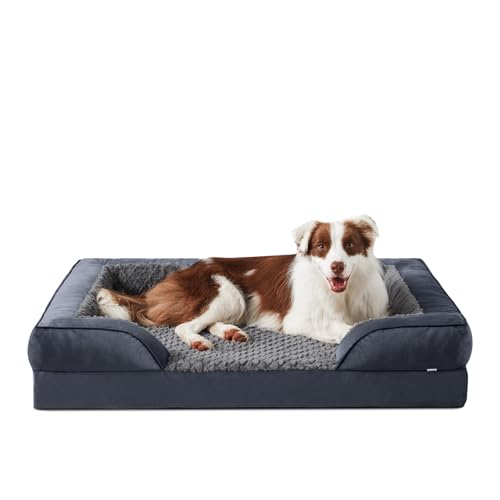 JOEJOY Panier Chien Grande Taille Orthopedique, Memoire de F
