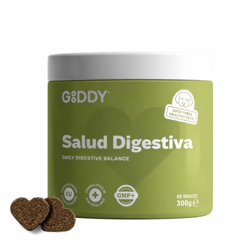 Gooddy - Complément Digestif Probiotique et Prébiotique pour