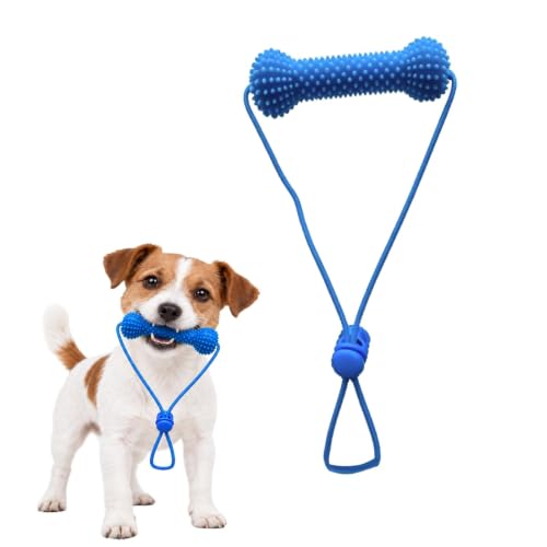 Accessoire Dentaire Double Action pour Chiens, Outil de Nett