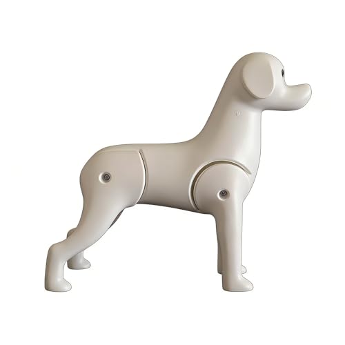 Fpbiagoq Mannequin de chien caniche amovible pour toilettage et coiffage débutants lavable