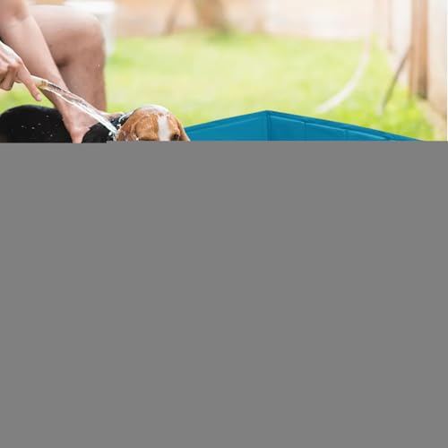 pour chiens et animaux domestiques