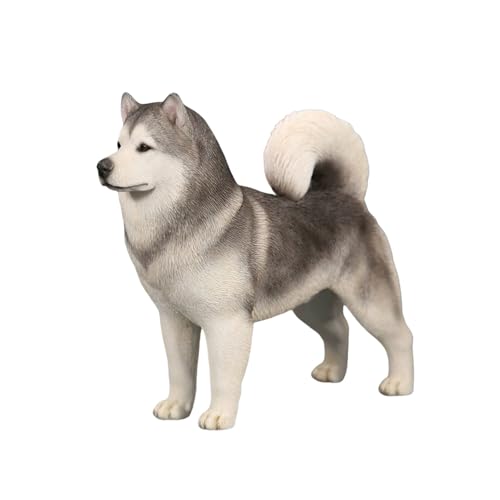 AMITD 1:6 Échelle Malamute dAlaska Figurine de chien Modèle