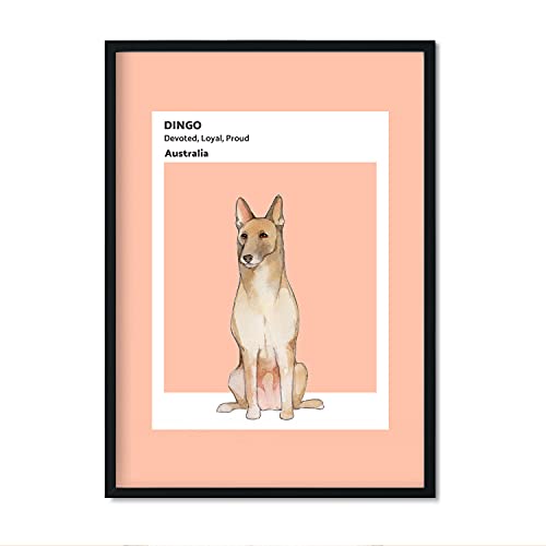 Nacnic DINGO Print. Affiches avec des illustrations de races