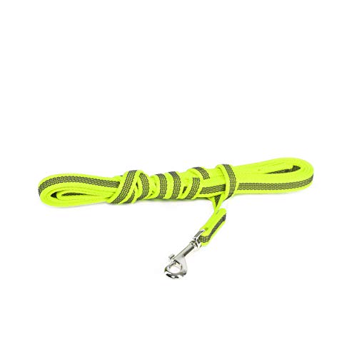 JULIUS K-9 218GM-NE-S3 Laisse antidérapante Color & Gray ave