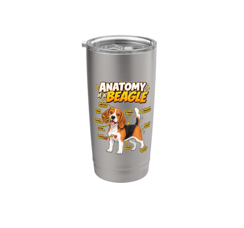 Beagle Anatomie Chien drôle Humour de chien Gobelet isotherm