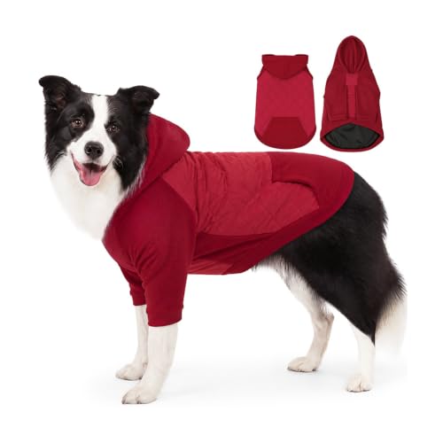 our fave Chien pour petits et animaux de compagnie, rouge XS