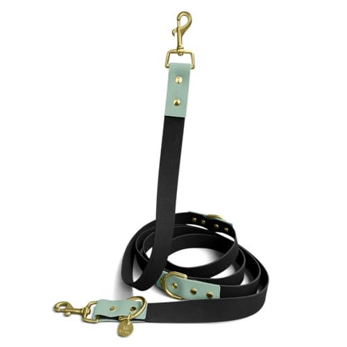 Hey Lana Laisse dextérieur pour chien, avec 2 mousquetons et