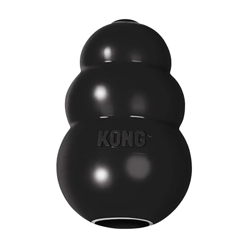 KONG Extreme Jouet Résistant XXL