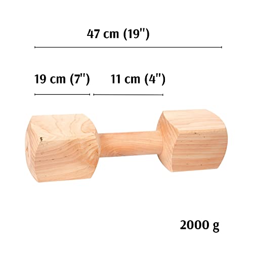 Dingo 17556 Apportier en bois daulne pour obéissance Jeu dOb
