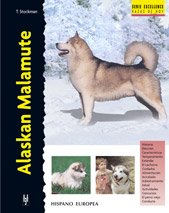 Alaskan Malamute