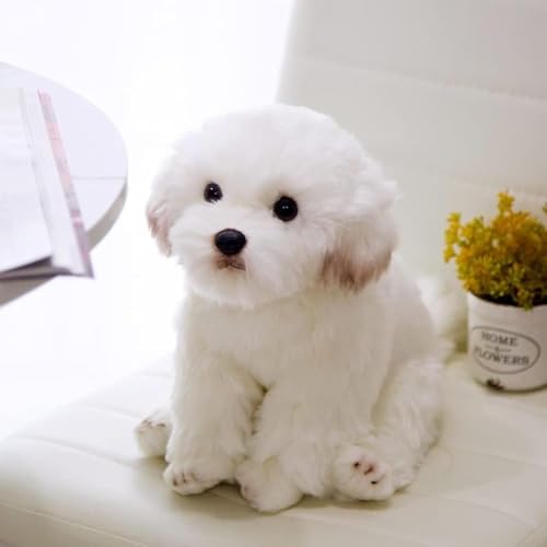 Peluche Chien en Peluche Jouet Mignon Simulation Animaux Animaux Poupées Pelucheuses Cadeaux D