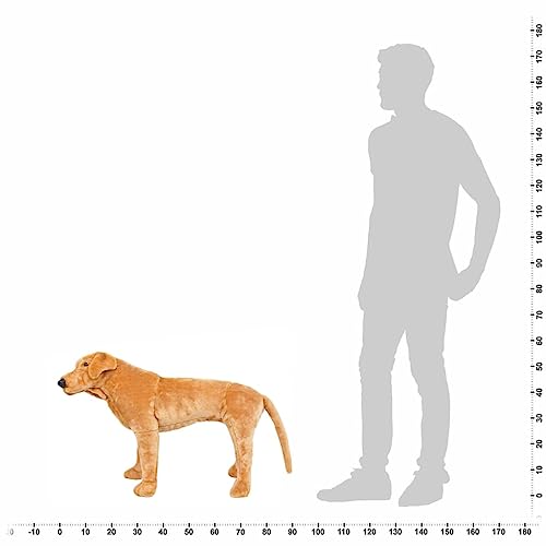 Générique Jouet en Peluche Chien de Race Labrador Marron Cla