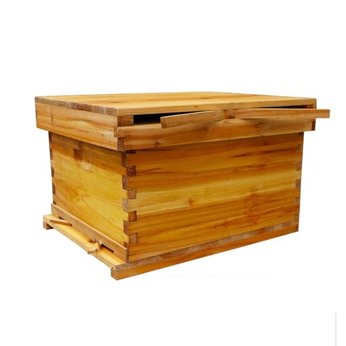 Ruche de bourdon en bois à 10 cadres, recouverte de cire dab