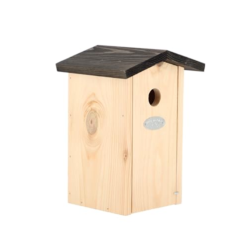 Nichoir Mésange Bleue Bois 23cm