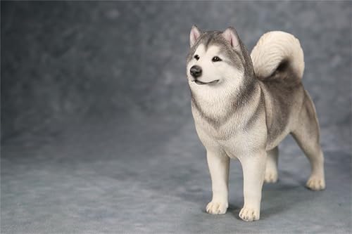 AMITD 1:6 Échelle Malamute dAlaska Figurine de chien Modèle 