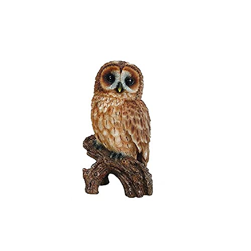 Capuche Cadeau Ltd Chouette hulotte sur souche, 1 714,5 cm