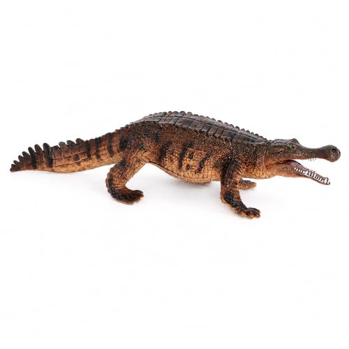 YWJLQH Modèle Crocodile rcosuchus, Marron, PL127-1796