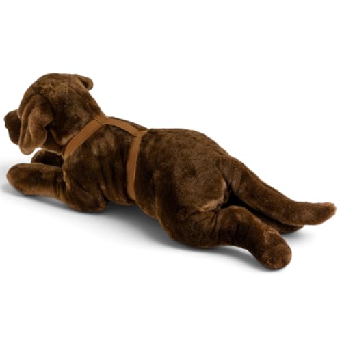 Carl Dick Labrador Retriever Marron avec Harnais, Peluche et