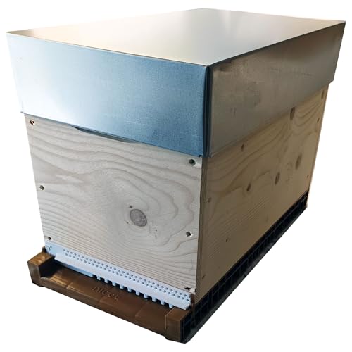 RUCHETTE Dadant 6 Cadres Premium avec Ses Cadres et sa Cire