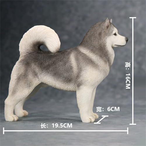 AMITD 1:6 Échelle Malamute dAlaska Figurine de chien Modèle
