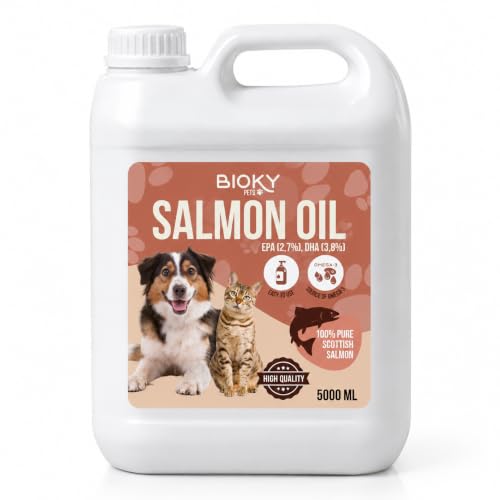 Huile de Saumon : Chiens et Chats 5 L | Source dOméga 3 et 6