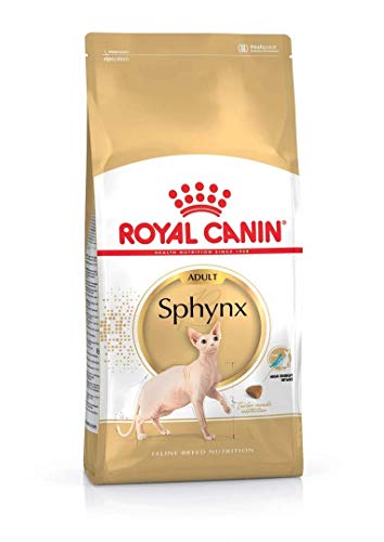 Royal Canin Sphynx Adulto 10.0 kg