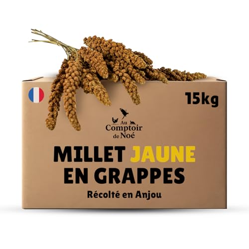 Au Comptoir de Noé Millet Jaune en Grappes 15kg, Alimentatio
