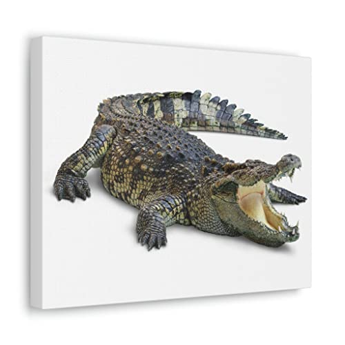 Impression sur toile de crocodile chassant un crocodile à la