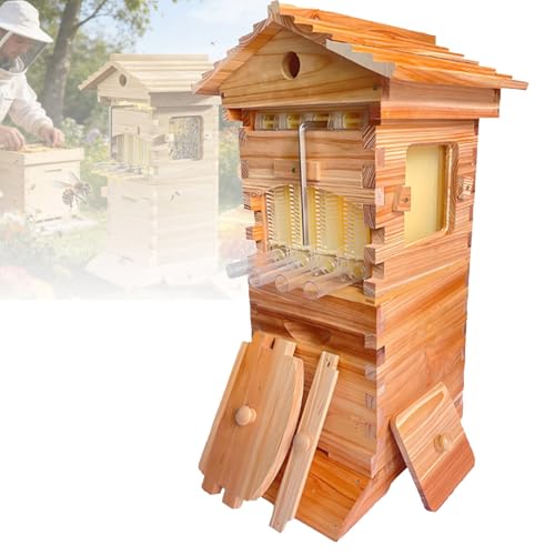 Hydravex Kit de démarrage pour Ruche, Ruche à Miel Auto-flux