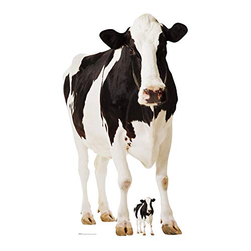 Star Cutouts - Stsc163 - Figurine Géante - Vache 152 Cm