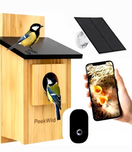 Nichoir à Oiseaux avec Caméra
