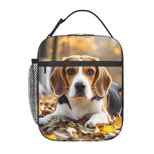 Beagle Mignon Sac Isotherme Repas Réutilisable Sacs Dejeuner