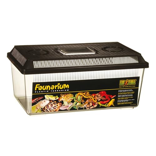 Exoterra Terrarium Polyvalent pour Reptile/Amphibien 36 x 21