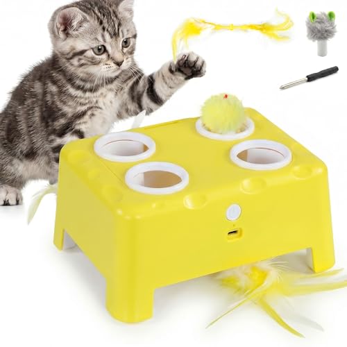 PawHut Jouet Interactif pour Chats dIntérieur, Jouet pour Ch